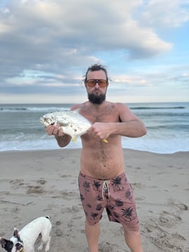 Surf Crushing Experience