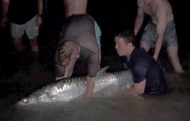 Surf Crushing Experience