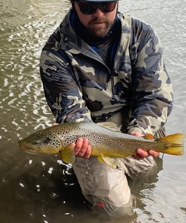 Guided Fly Fishing – Walk & Wade