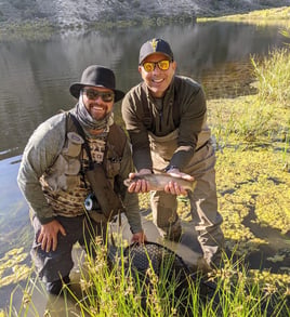 Guided Fly Fishing – Walk & Wade