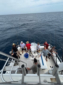 Orange Beach Offshore