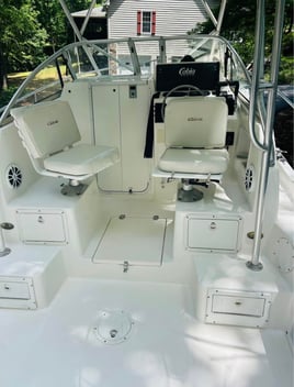 Inshore & Shark Fishing 