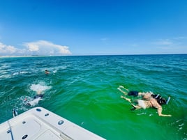 4-10 Hr Sandbar/Bar Hopping Tour