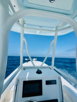 4-10 Hr Sandbar Hopping Tour