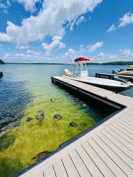 4-10 Hr Sandbar/Bar Hopping Tour