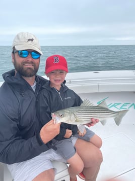 Striped Bass 
