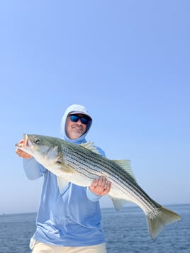 Striped Bass 