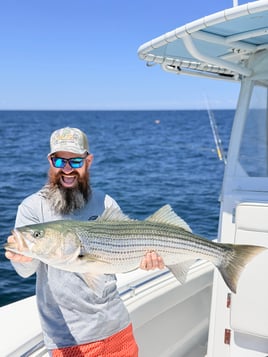 Striped Bass 