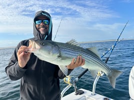 Striped Bass Topwater Fun 