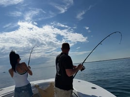 Striped Bass Topwater Fun 