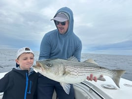 Striped Bass Topwater Fun 