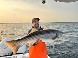Striped Bass Topwater Fun 
