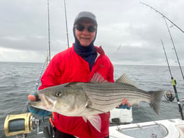 Striped Bass Topwater Fun 