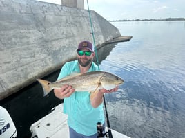 Inshore Slam
