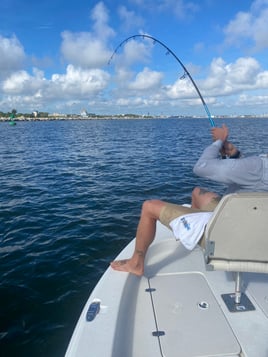 Tarpon Session