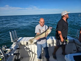 Lake Erie Walleye & Perch