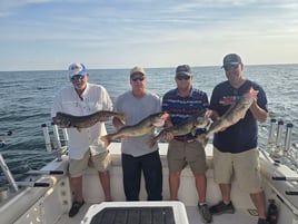 Perch And Walleye Fishing Trip