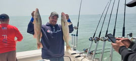 Lake Erie Walleye & Perch