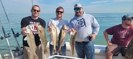 Lake Erie Walleye & Perch