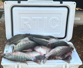 Custom Trophy Crappie Trip 