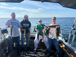 Walleye And Steelhead Fishing