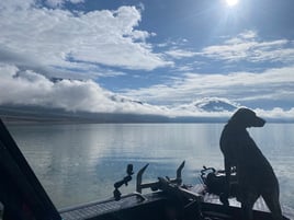 Buffalo Bill Reservoir Tours