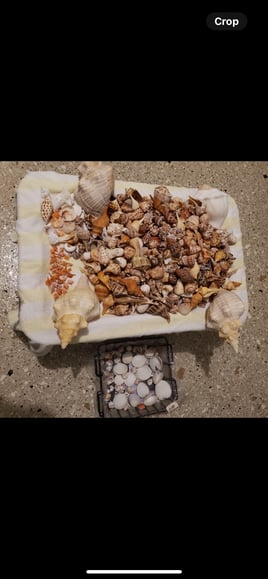 Shelling Trip