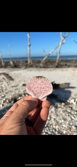 Shelling Trip