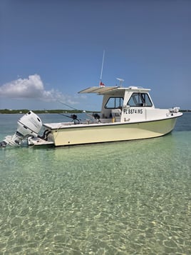 Offshore Half Day