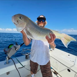 Offshore Half Day