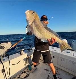 Offshore Half Day