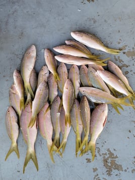 Offshore Half Day