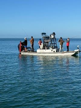 Inshore Fishing 1/2 Day AM 