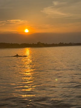 Back Bay Boat Charter