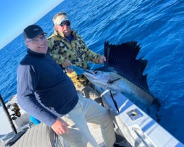 Live Bait Sailfishing