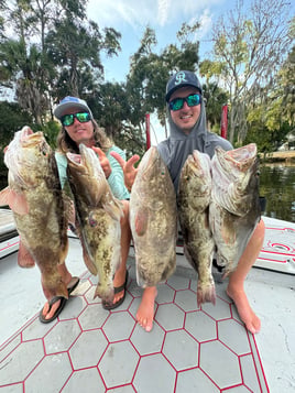 Nearshore Fishing Charter 