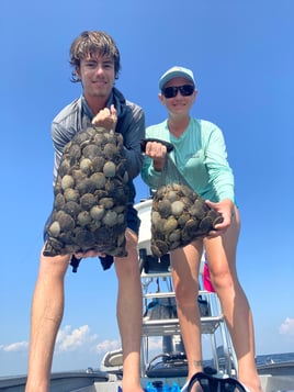 Scalloping