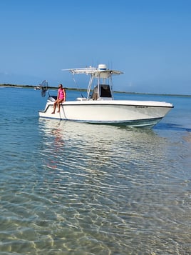 3 Hr Fishing Inshore/Nearshore