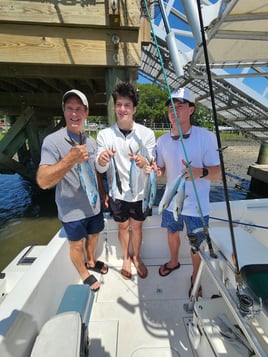 3 Hr Fishing Inshore/Nearshore