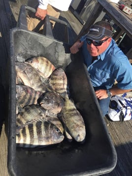 Inshore Fishing