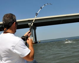 Inshore Fishing