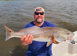 4-6 Hour Inshore Trip