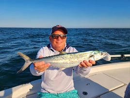 4-6 Hour Inshore Trip