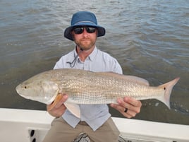 4-6 Hour Inshore Trip
