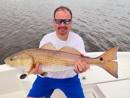 4-6 Hour Inshore Trip