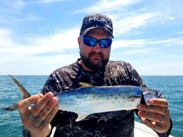 4-6 Hour Inshore Trip