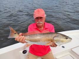4-6 Hour Inshore Trip