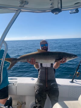 12hr Offshore