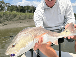Inshore Fishing Trip