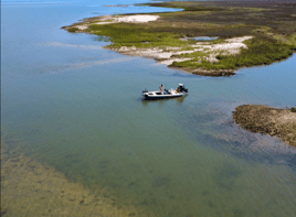Inshore Fishing Trip